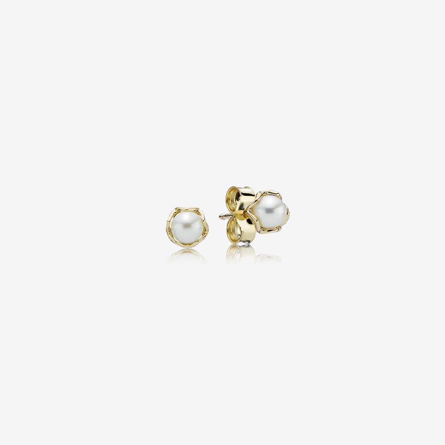 SALE - Delicate Pearl Studs image number 0
