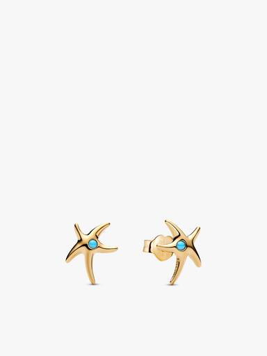 Seaside Star Jewellery Set
