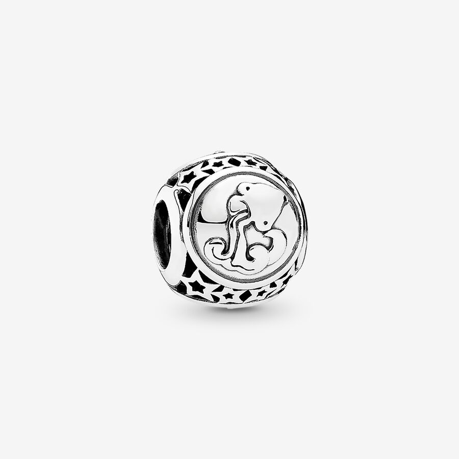 SALE - Aquarius star sign silver charm image number 0