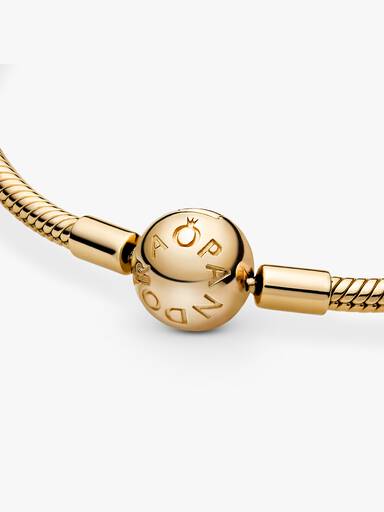 snake chain bracelet
