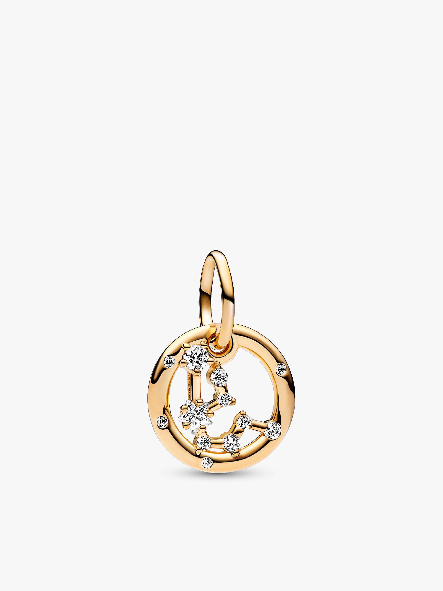 Aquarius Zodiac Dangle Charm