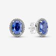 Sparkling Statement Halo Stud Earrings