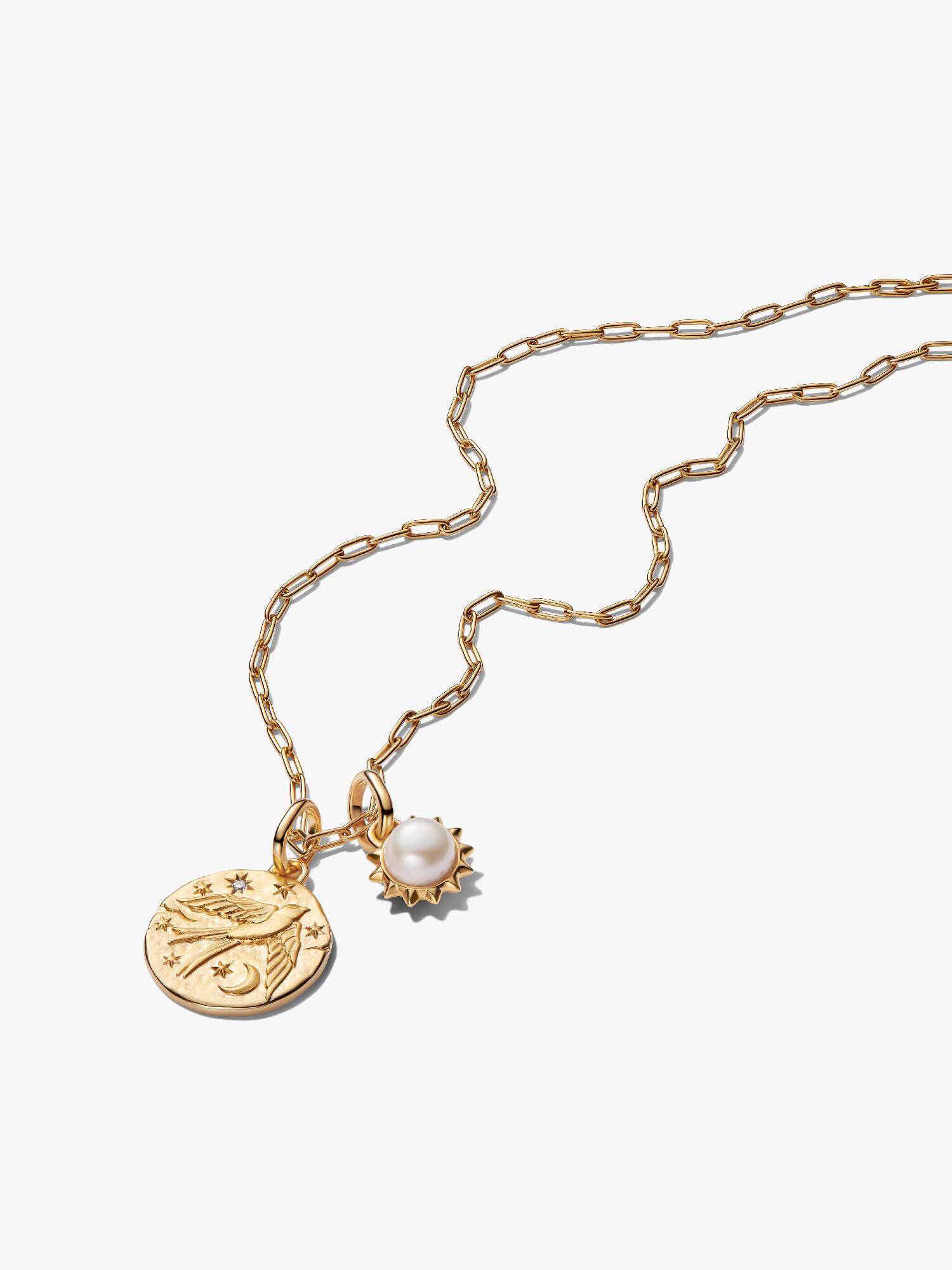 Sun & Swallow Medallion Necklace Set