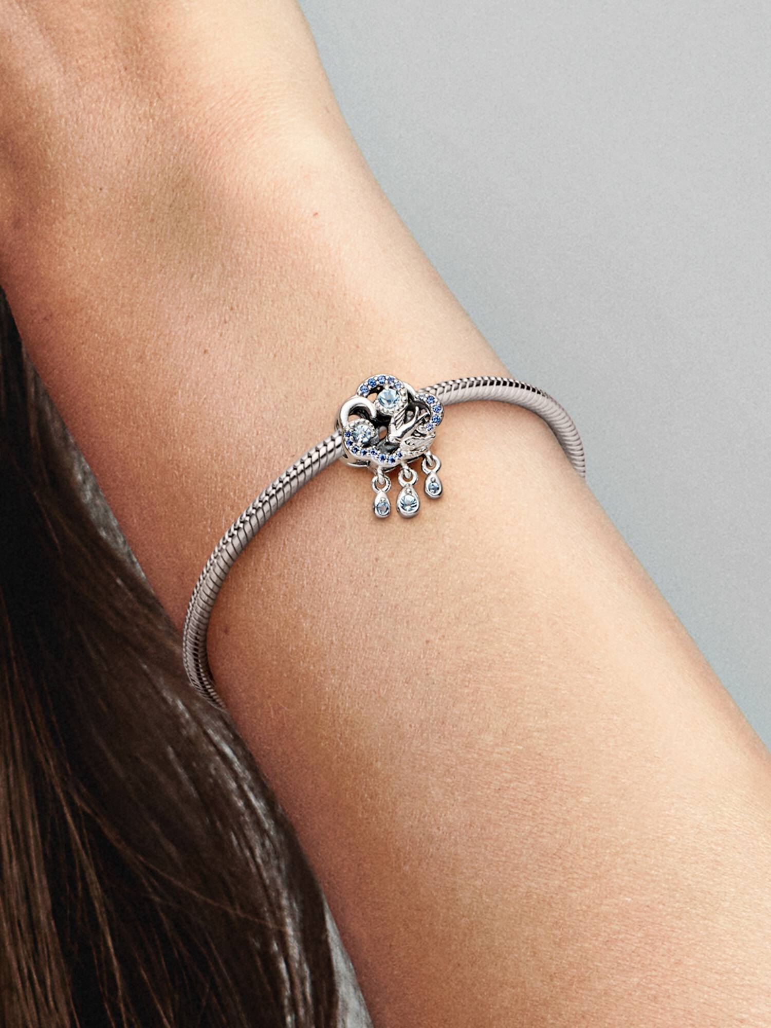 Cloud & Swallow Charm