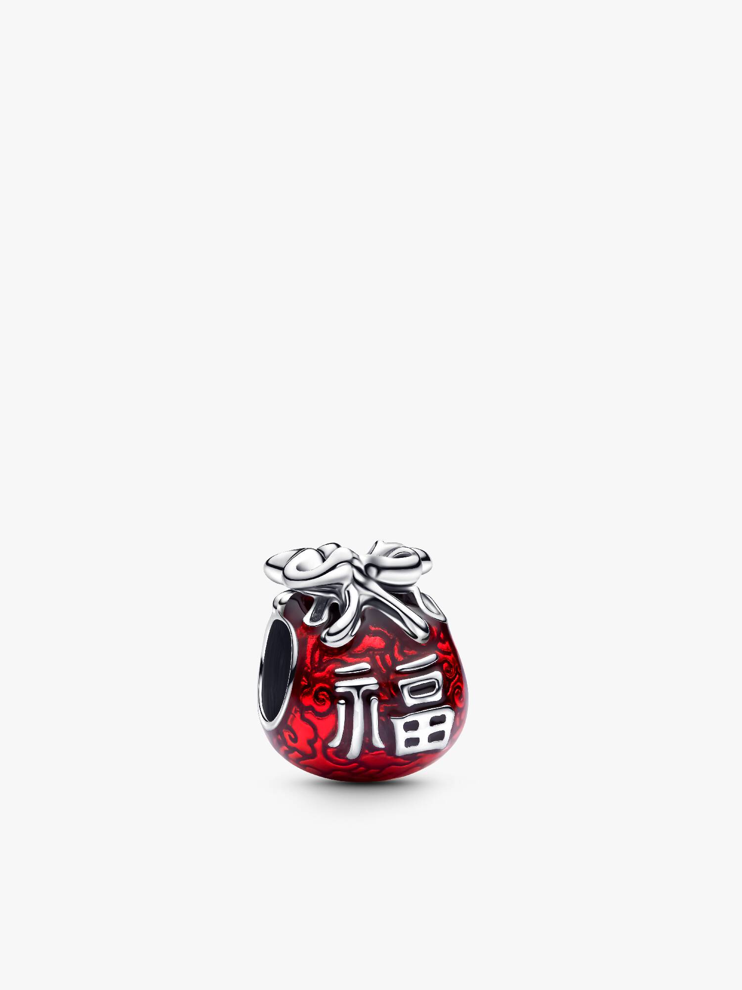 Lucky Bag Charm