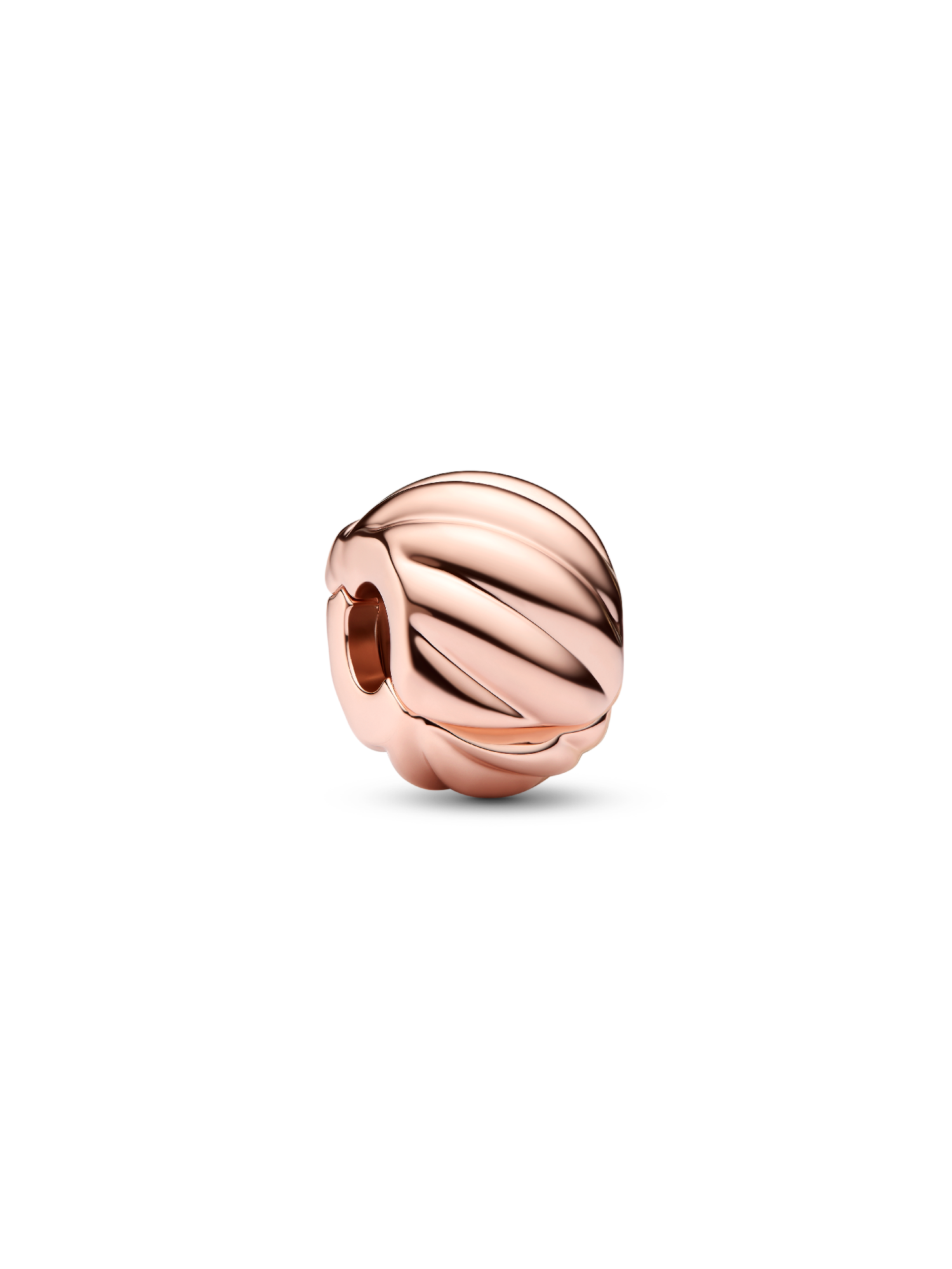 Polished Feathered Clip Charm