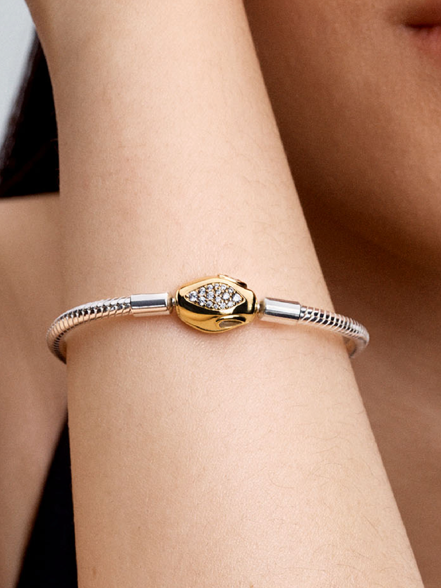 Snake Clasp & Chain Bracelet | Two-tone | Pandora HK